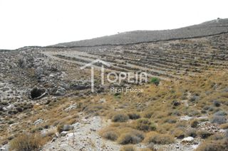 Αγροτεμάχια 4.404 τ.μ. πρός πώληση, Κυκλάδες, Κέα-thumb-6