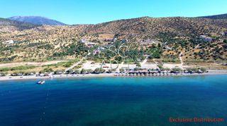 Οικόπεδο 20.190 τ.μ. για πώληση, Αργολίδα, Ερμιόνη-thumb-1