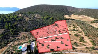 Οικόπεδο 20.190 τ.μ. για πώληση, Αργολίδα, Ερμιόνη-thumb-3