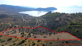 Οικόπεδο 20.190 τ.μ. για πώληση, Αργολίδα, Ερμιόνη-thumb-4