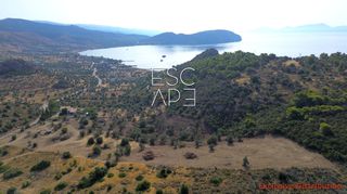 Οικόπεδο 20.190 τ.μ. για πώληση, Αργολίδα, Ερμιόνη-thumb-5