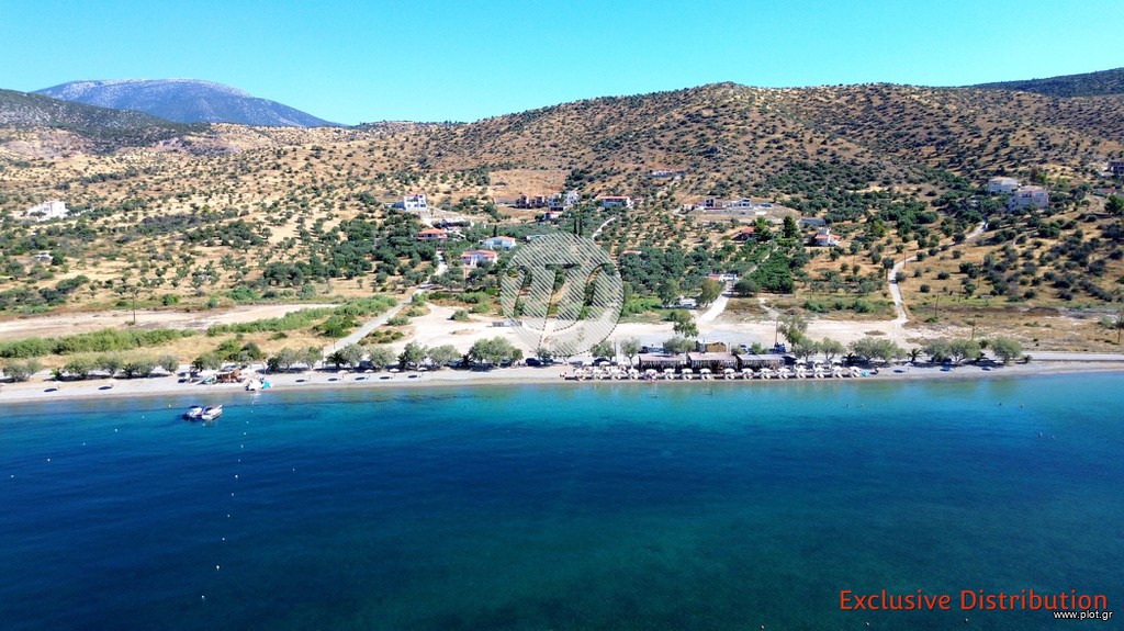 Οικόπεδο 20.190 τ.μ. προς πώληση, Αργολίδα, Ερμιόνη