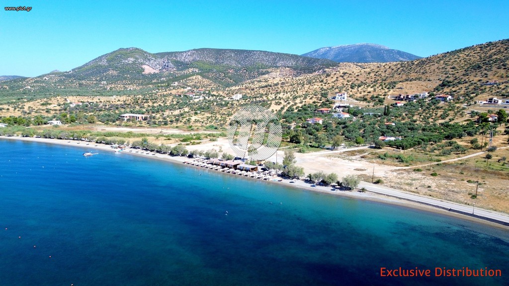 Οικόπεδο 20.190 τ.μ. προς πώληση, Αργολίδα, Ερμιόνη
