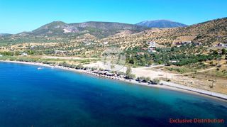 Οικόπεδο 20.190 τ.μ. για πώληση, Αργολίδα, Ερμιόνη-thumb-2