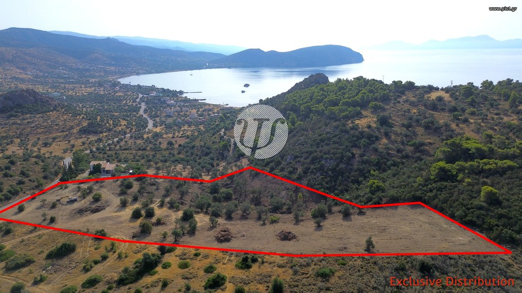 Οικόπεδο 20.190 τ.μ. προς πώληση, Αργολίδα, Ερμιόνη