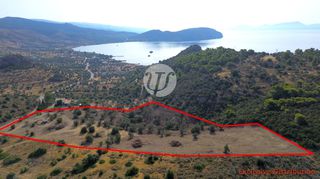 Οικόπεδο 20.190 τ.μ. για πώληση, Αργολίδα, Ερμιόνη-thumb-4