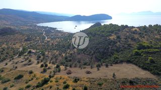 Οικόπεδο 20.190 τ.μ. για πώληση, Αργολίδα, Ερμιόνη-thumb-5