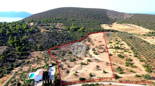 Οικόπεδο 20.190 τ.μ. για πώληση, Αργολίδα, Ερμιόνη-thumb-7