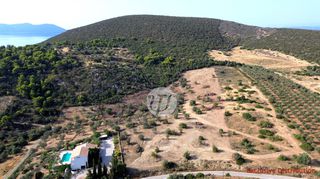 Οικόπεδο 20.190 τ.μ. για πώληση, Αργολίδα, Ερμιόνη-thumb-11