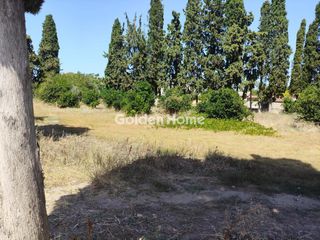 Οικόπεδο 540 τ.μ. πρός πώληση, Εύβοια, Αυλίδα-thumb-4