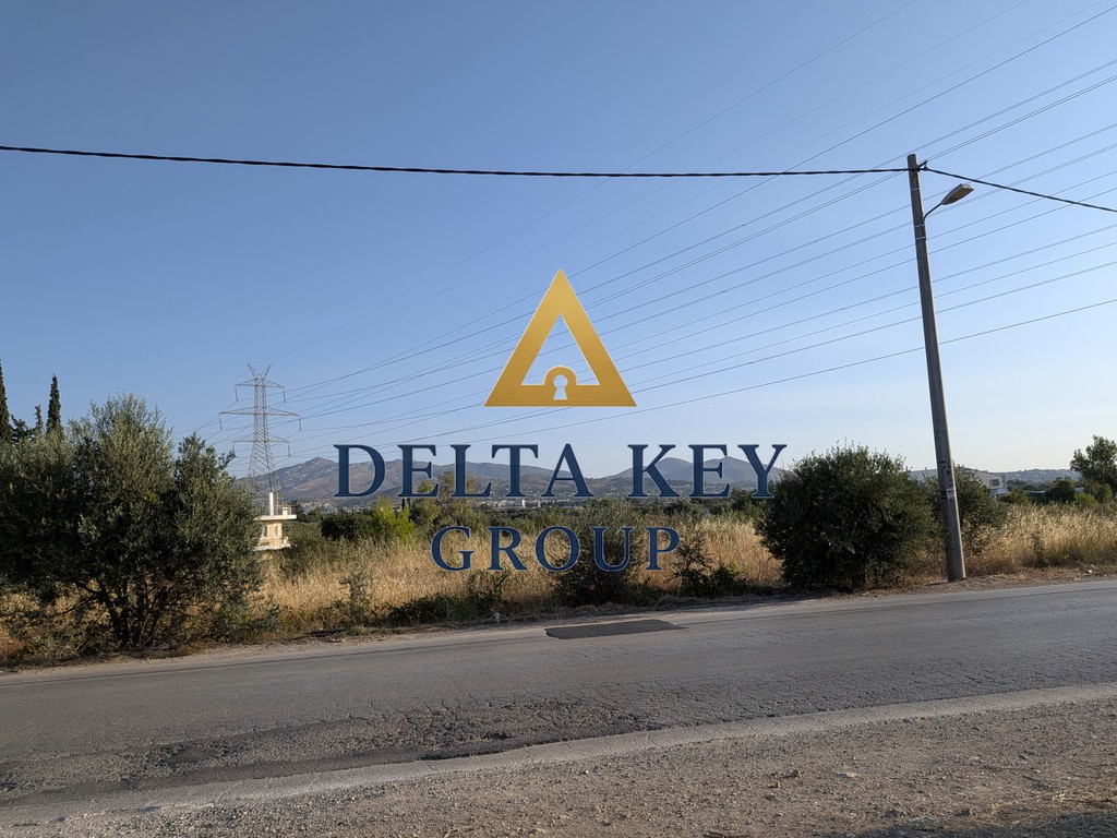 Αγροτεμάχια 5.500 τ.μ. πρός πώληση, Αθήνα - Ανατολικά Προάστια, Παιανία
