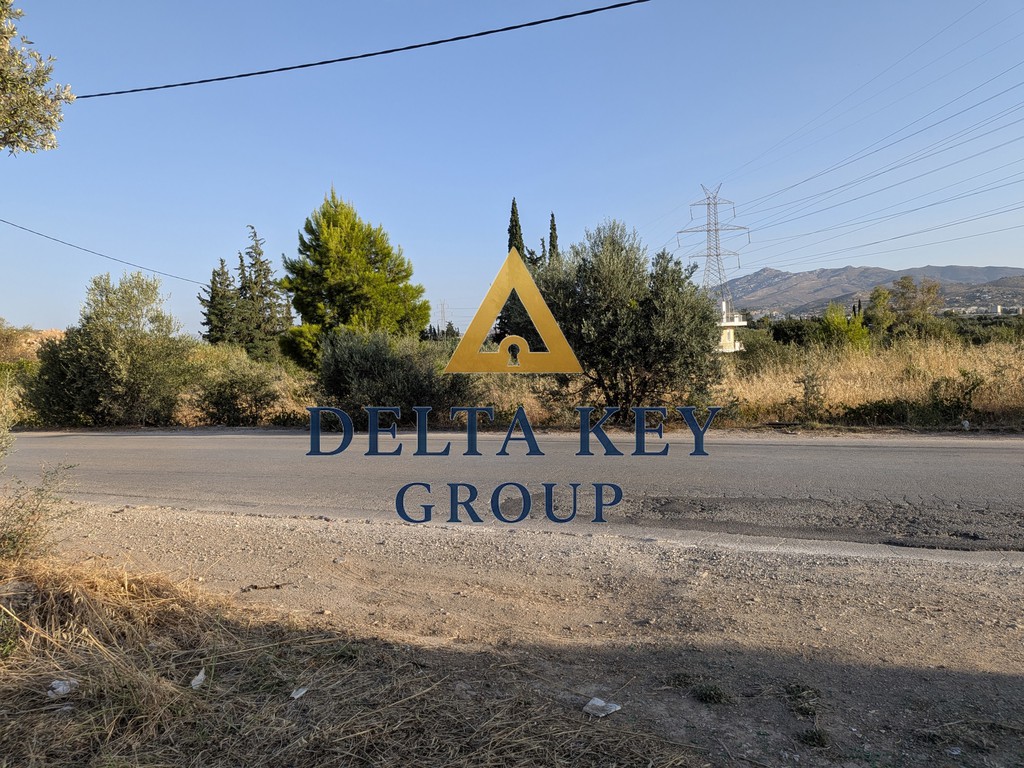 Αγροτεμάχια 5.500 τ.μ. πρός πώληση, Αθήνα - Ανατολικά Προάστια, Παιανία