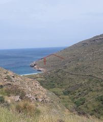 Οικόπεδο 11.000 τ.μ. για πώληση