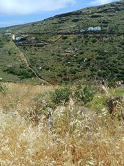 Οικόπεδο 11.000 τ.μ. για πώληση, Κυκλάδες, Άνδρος-thumb-2