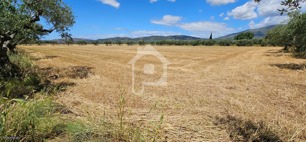 Αγροτεμάχια 12.000 τ.μ. προς πώληση, Ίσωμα Φαρών