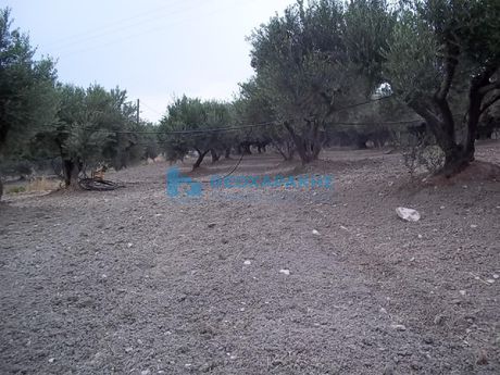 Αγροτεμάχια 3.387 τ.μ. πρός πώληση