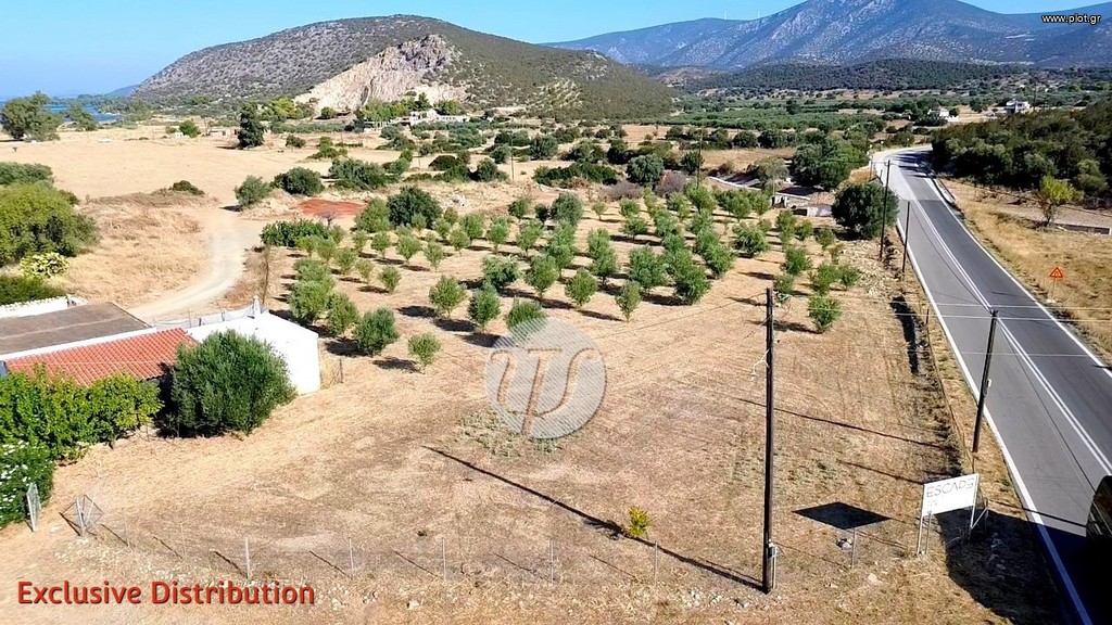 Οικόπεδο 5.200 τ.μ. προς πώληση, Αργολίδα, Κρανίδι