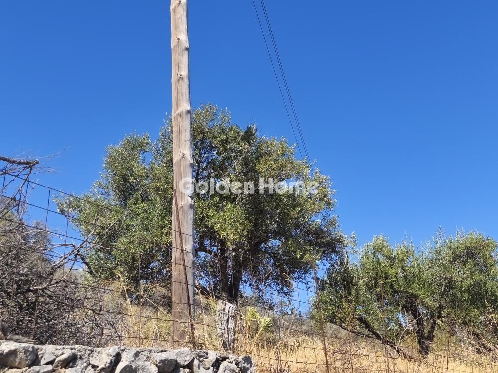 Οικόπεδο 4.001 τ.μ. προς πώληση, Άγιος Παύλος Βάμου