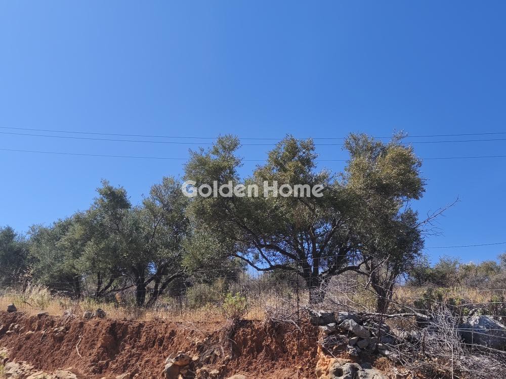 Οικόπεδο 4.001 τ.μ. προς πώληση, Άγιος Παύλος Βάμου