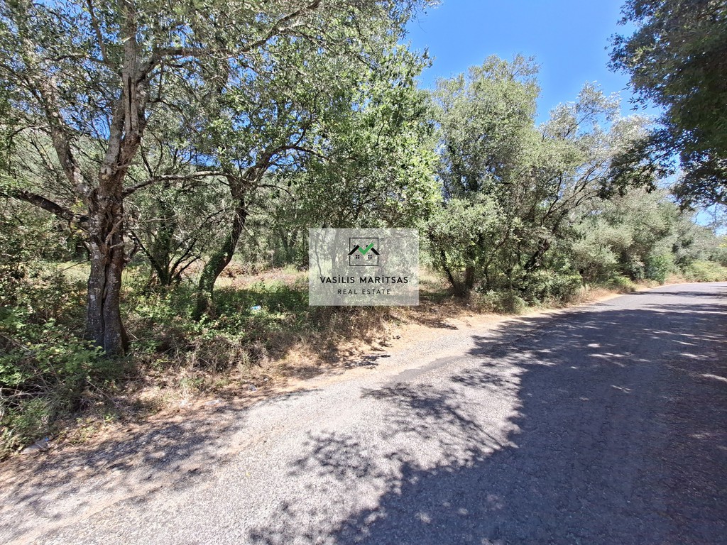 Οικόπεδο 5.442 τ.μ. προς πώληση, Παλαιοκαστρίτσα