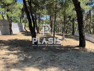 Οικόπεδο 800 τ.μ. προς πώληση
