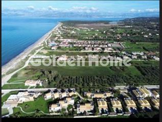 Αγροτεμάχια 16.000 τ.μ. για πώληση