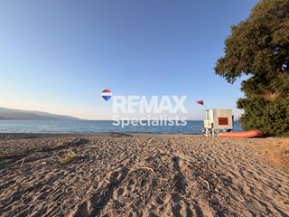 Αγροτεμάχια 2.724 τ.μ. για πώληση