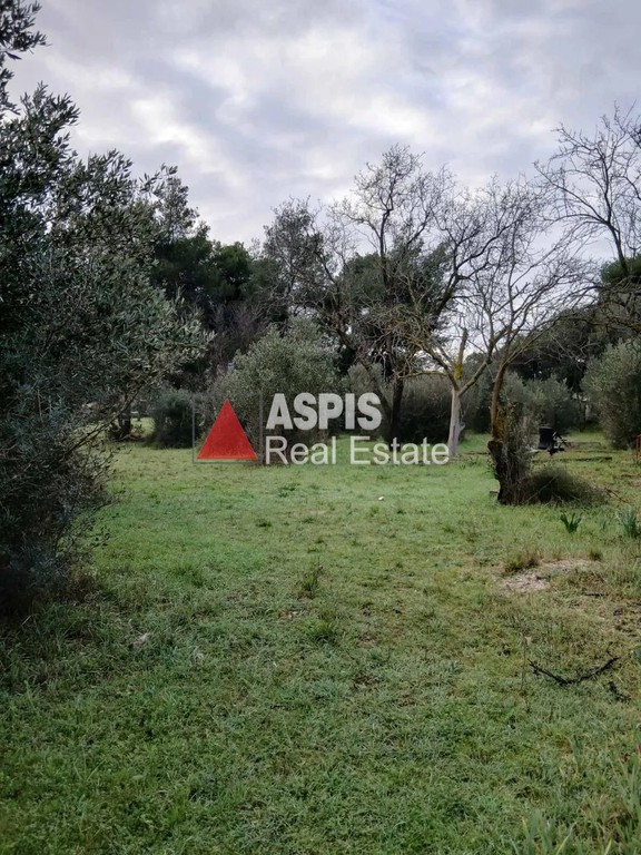 Αγροτεμάχια 2.340 τ.μ. πρός ενοικίαση, Αθήνα - Βόρεια Προάστια, Άνοιξη