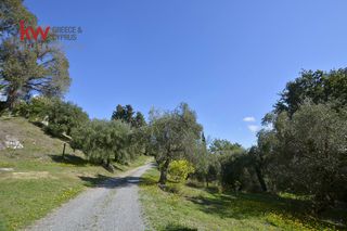 Βίλλα 240 τ.μ. για πώληση, Ν. Κέρκυρας, Κέρκυρα-thumb-45