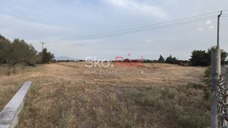 Αγροτεμάχια 8.614 τ.μ. για πώληση