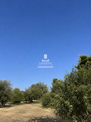 Οικόπεδο 710 τ.μ. για πώληση