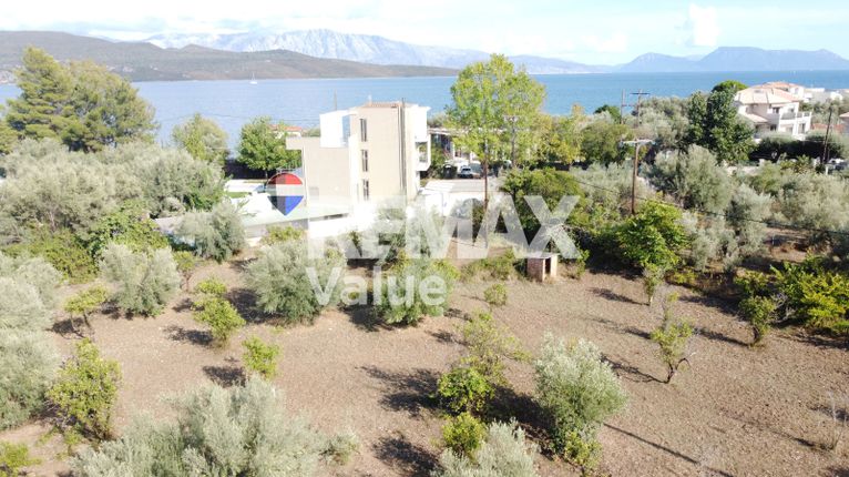 Οικόπεδο 1.038 τ.μ. για πώληση, Ν. Λευκάδας, Λευκάδα