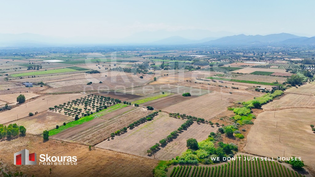 Αγροτεμάχια 16.613 τ.μ. προς πώληση, Γομοστό