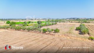 Αγροτεμάχια 16.613 τ.μ. πρός πώληση, Αχαΐα, Μόβρη-thumb-2