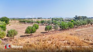 Αγροτεμάχια 16.613 τ.μ. πρός πώληση, Αχαΐα, Μόβρη-thumb-9