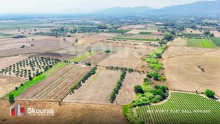 Αγροτεμάχια 16.613 τ.μ. πρός πώληση, Αχαΐα, Μόβρη-thumb-11