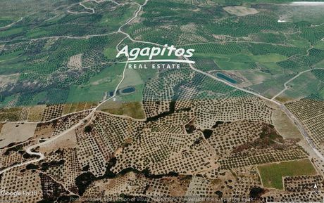 Αγροτεμάχια 1.763 τ.μ. πρός πώληση