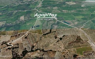 Αγροτεμάχια 1.763 τ.μ. για πώληση