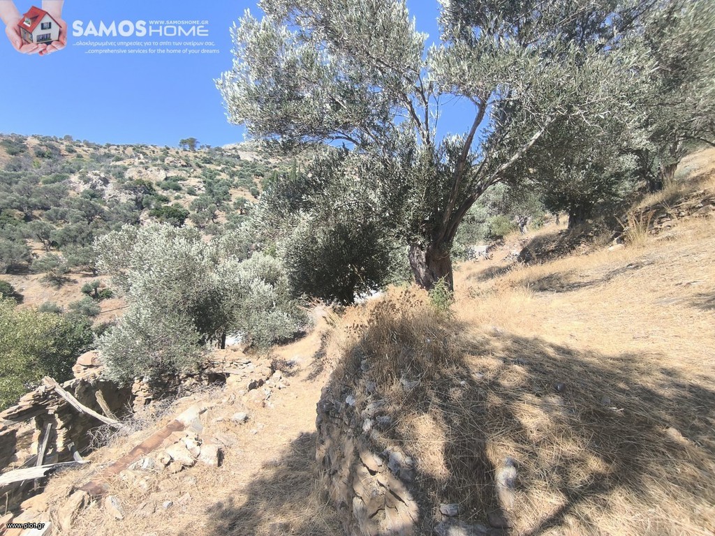 Αγροτεμάχια 1.500 τ.μ. πρός πώληση, Ν. Σάμου, Σάμος