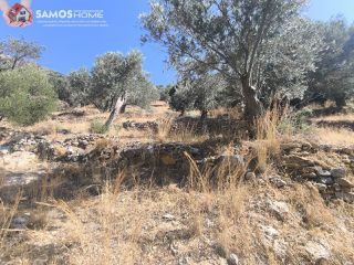 Αγροτεμάχια 1.500 τ.μ. για πώληση, Ν. Σάμου, Σάμος-thumb-3
