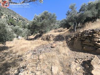 Αγροτεμάχια 1.500 τ.μ. για πώληση, Ν. Σάμου, Σάμος-thumb-4