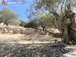 Αγροτεμάχια 1.500 τ.μ. για πώληση, Ν. Σάμου, Σάμος-thumb-5