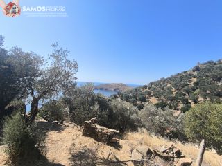 Αγροτεμάχια 1.500 τ.μ. για πώληση, Ν. Σάμου, Σάμος-thumb-8