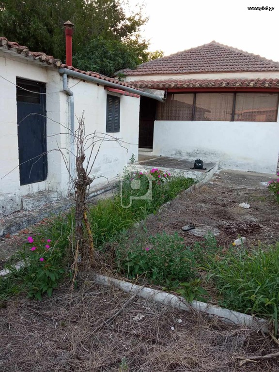 Μονοκατοικία 73 τ.μ. πρός ενοικίαση, Ν. Λάρισας, Κραννώνας