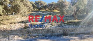 Οικόπεδο 2.634 τ.μ. για πώληση, Ν. Λευκάδας, Λευκάδα-thumb-2