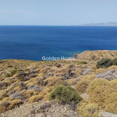 Οικόπεδο 30.000 τ.μ. πρός πώληση, Κυκλάδες, Άνδρος-thumb-5