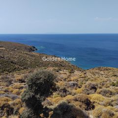 Οικόπεδο 30.000 τ.μ. πρός πώληση, Κυκλάδες, Άνδρος-thumb-7