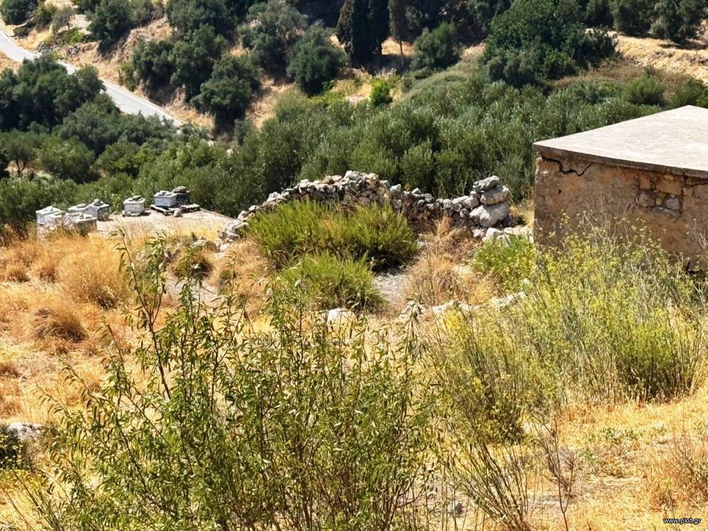 Μονοκατοικία 30 τ.μ. πρός πώληση, Ν. Λασιθίου, Μακρύς Γιαλός