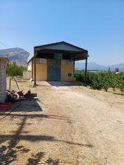 Αποθήκη 280 τ.μ. για ενοικίαση, Αργολίδα, Άργος-thumb-1