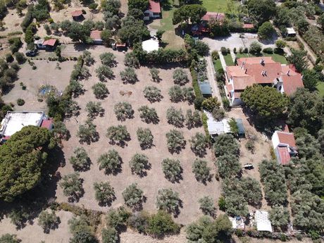 Οικόπεδο 3.600 τ.μ. προς πώληση